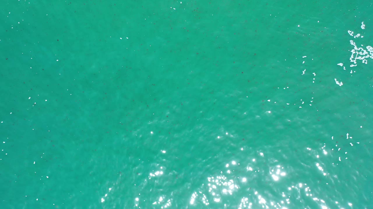 Aquamarine shoreline water in Los Cabos, Mexico, fills the frame with a white foam cluster near the upper right and no visible people.