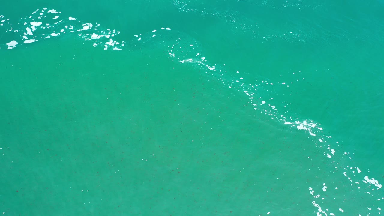 Green ocean water with small sunlit ripples.