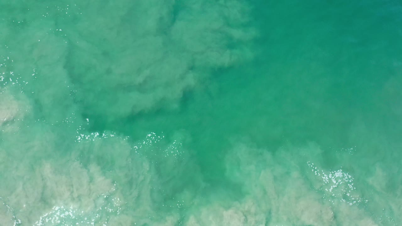 Green seawater with pale cloudy patterns and small surface highlights.