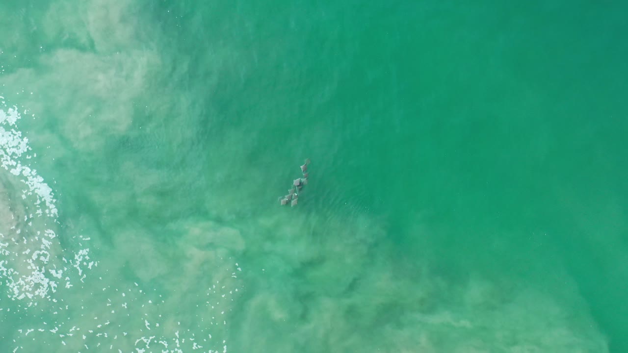 Overhead view in Los Cabos, Mexico, showing a small group of jellyfish beneath turquoise water, pale clouded surf texture, bright reflections at left, and no visible people.