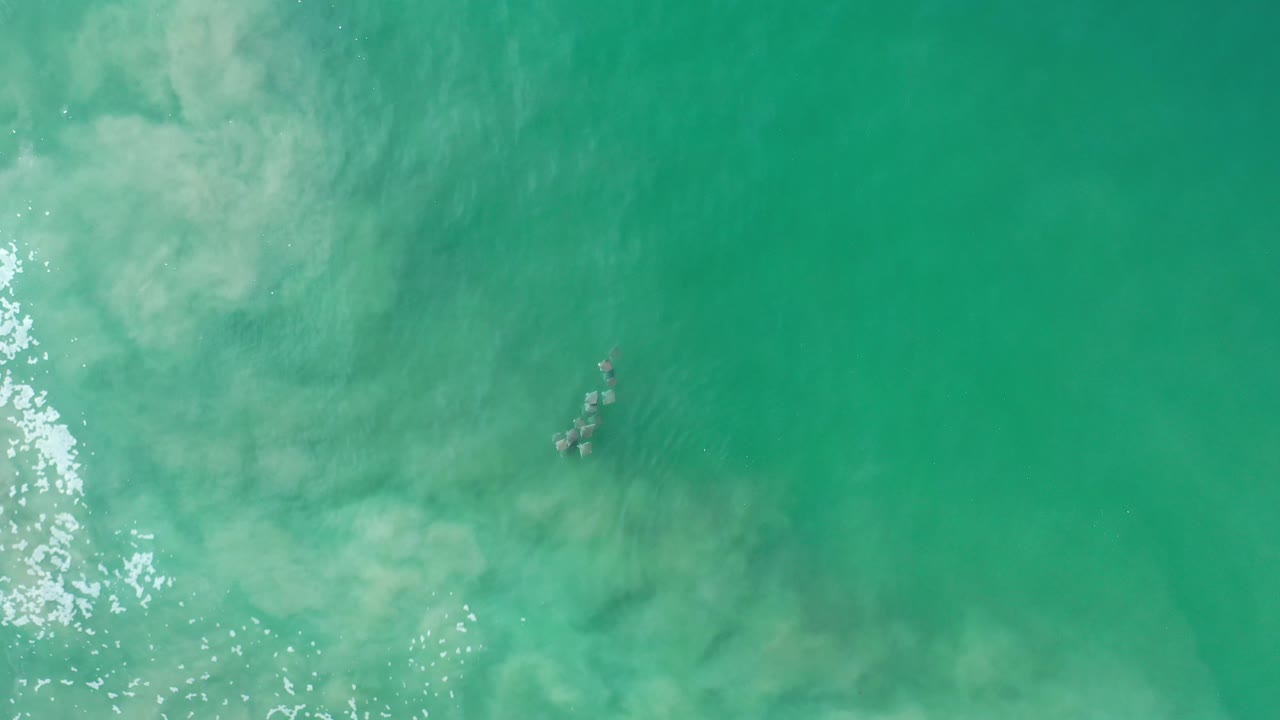 Small jellyfish visible in clear green water with soft surf haze.