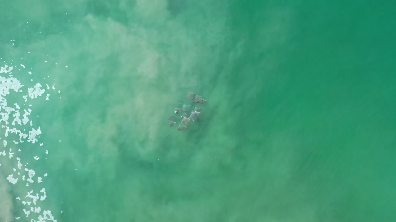 Overhead view in Los Cabos, Mexico, showing green ocean water, white surf at the left edge, and a small group of people clustered near the upper right.