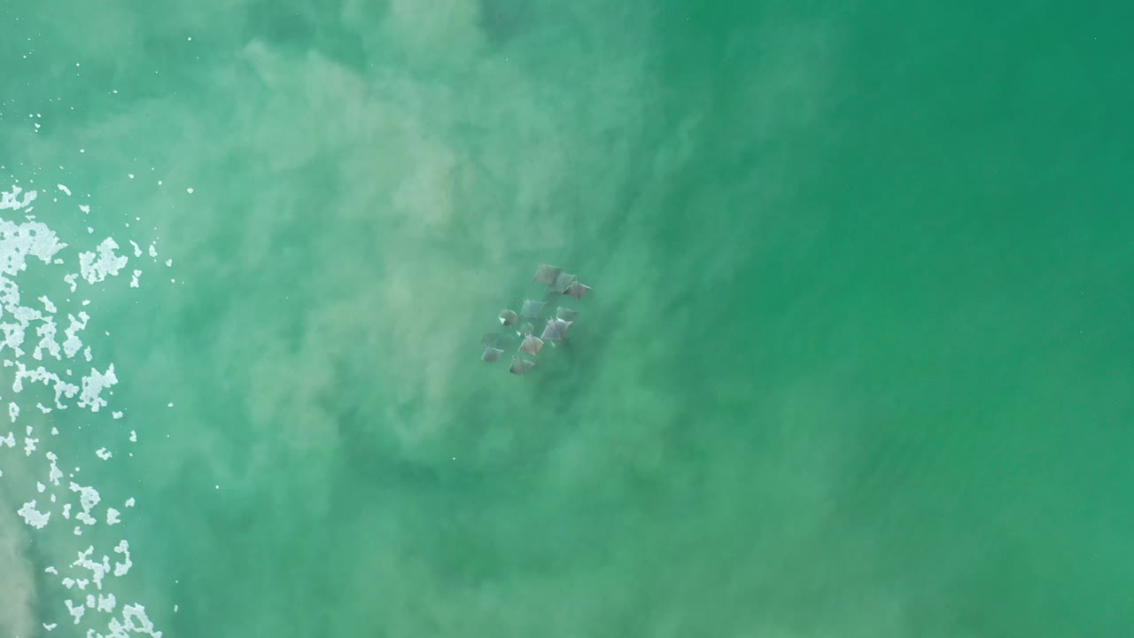 Aerial Los Cabos water frame with a vertical strip of white foam on the left and small people shapes partly softened by cloudy green water near the upper right.