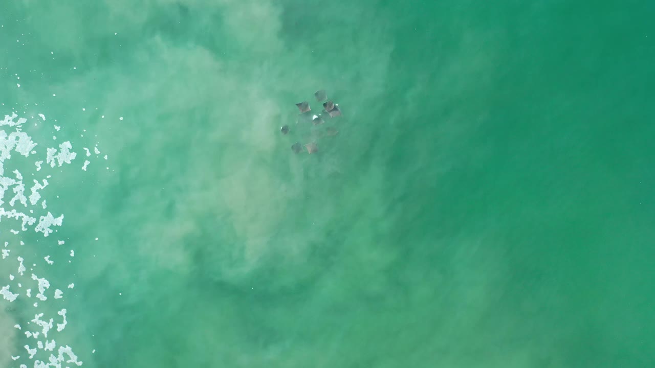 Aerial Los Cabos ocean frame with bright foam breaking along the left side and the animal group faintly visible under cloudy green water near the top, no visible people.