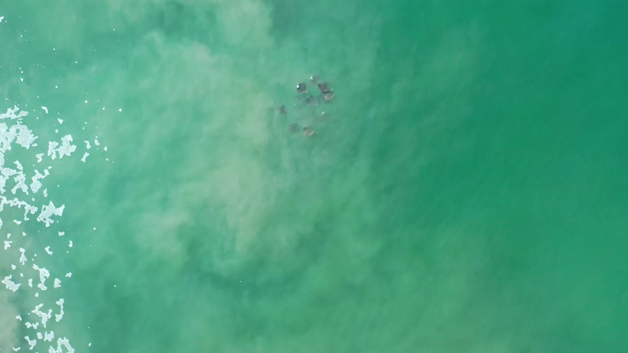 Turquoise-green water with left-edge foam and dark animal shapes near the upper right.