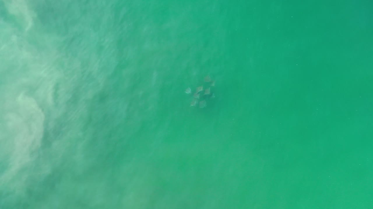 Overhead view of greenish blue water in Los Cabos, Mexico, with pale cloudy surface texture at left and no visible people.