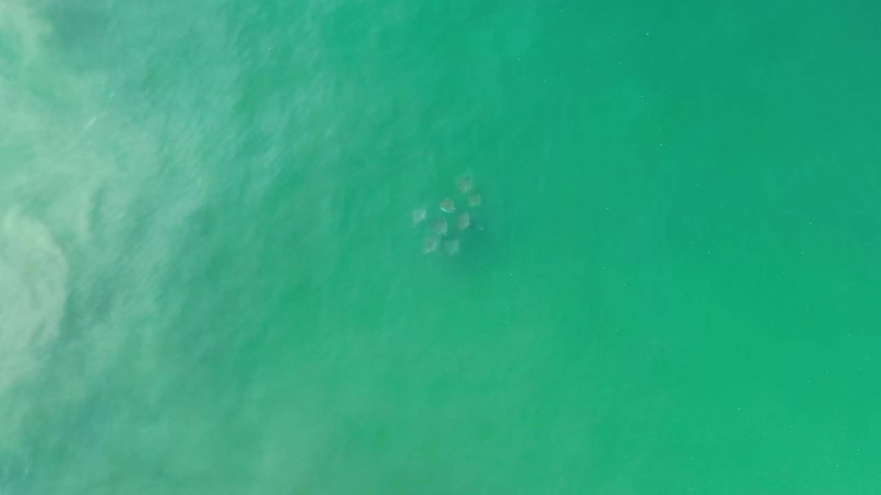 Overhead turquoise water with cloudy pale texture along the left side