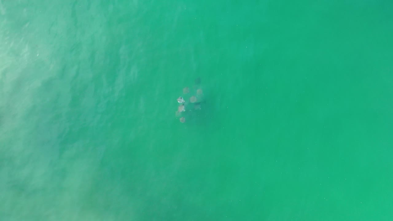 Top-down view of green ocean water with pale wave streaks.
