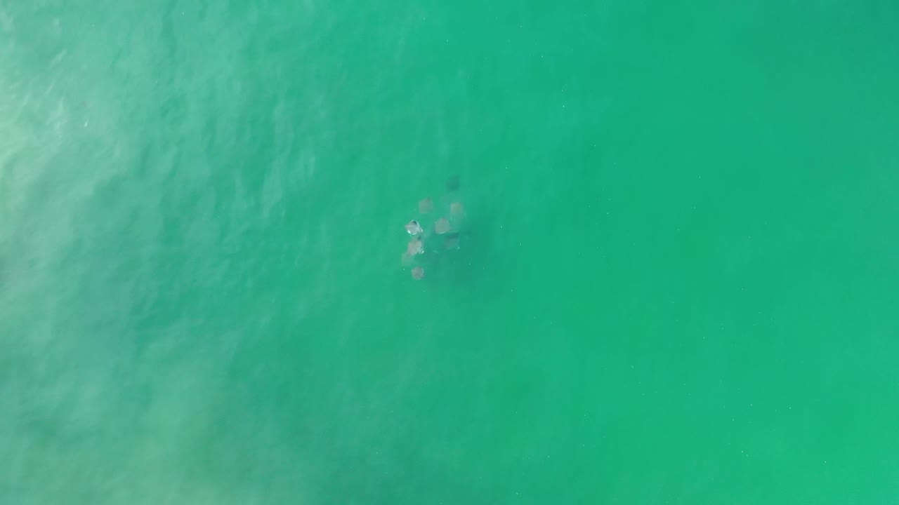 Overhead Los Cabos ocean frame showing green water and faint milky wave patterns drifting through the center, with no visible people.