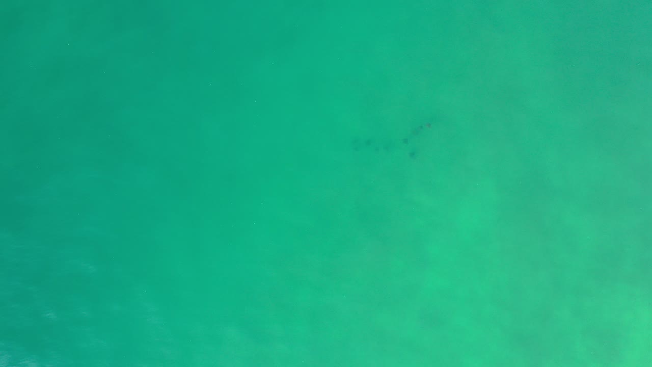 Green underwater water with cloudy suspended sediment