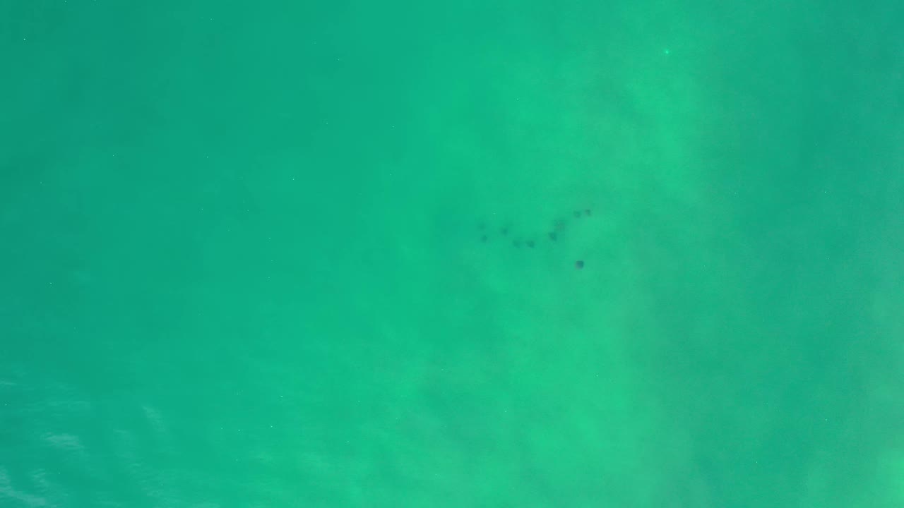 Green ocean surface in Los Cabos, Mexico shows soft tonal variation and a few faint dark specks beneath the water, with no visible people.