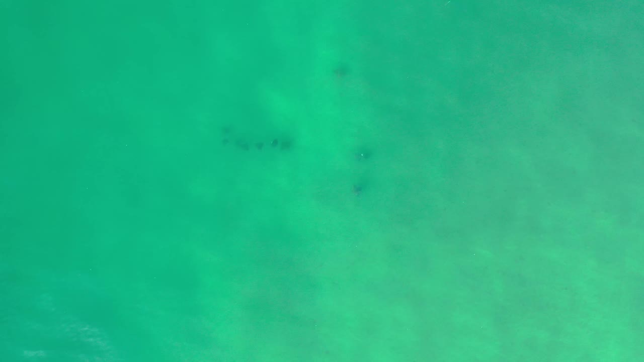 Clear green-blue water with faint fish shapes near the top.