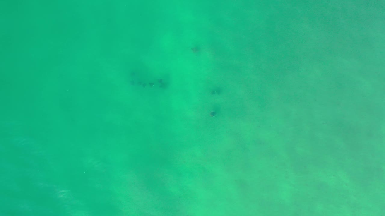 Overhead Los Cabos water frame with bright aquamarine color, faint sandy patches below, small fish near the upper right, and no visible people.