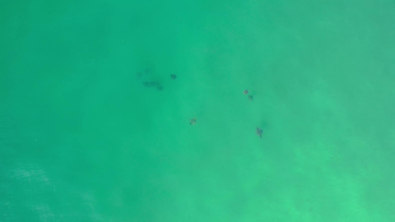 Overhead Los Cabos ocean frame with blue-green water, soft pale clouding below the surface, and darker patches clustered toward the top area.