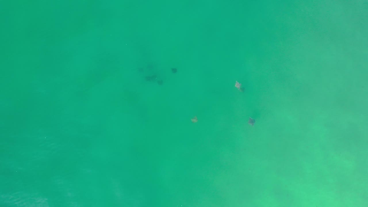 Turquoise water with scattered dark patches and pale areas.