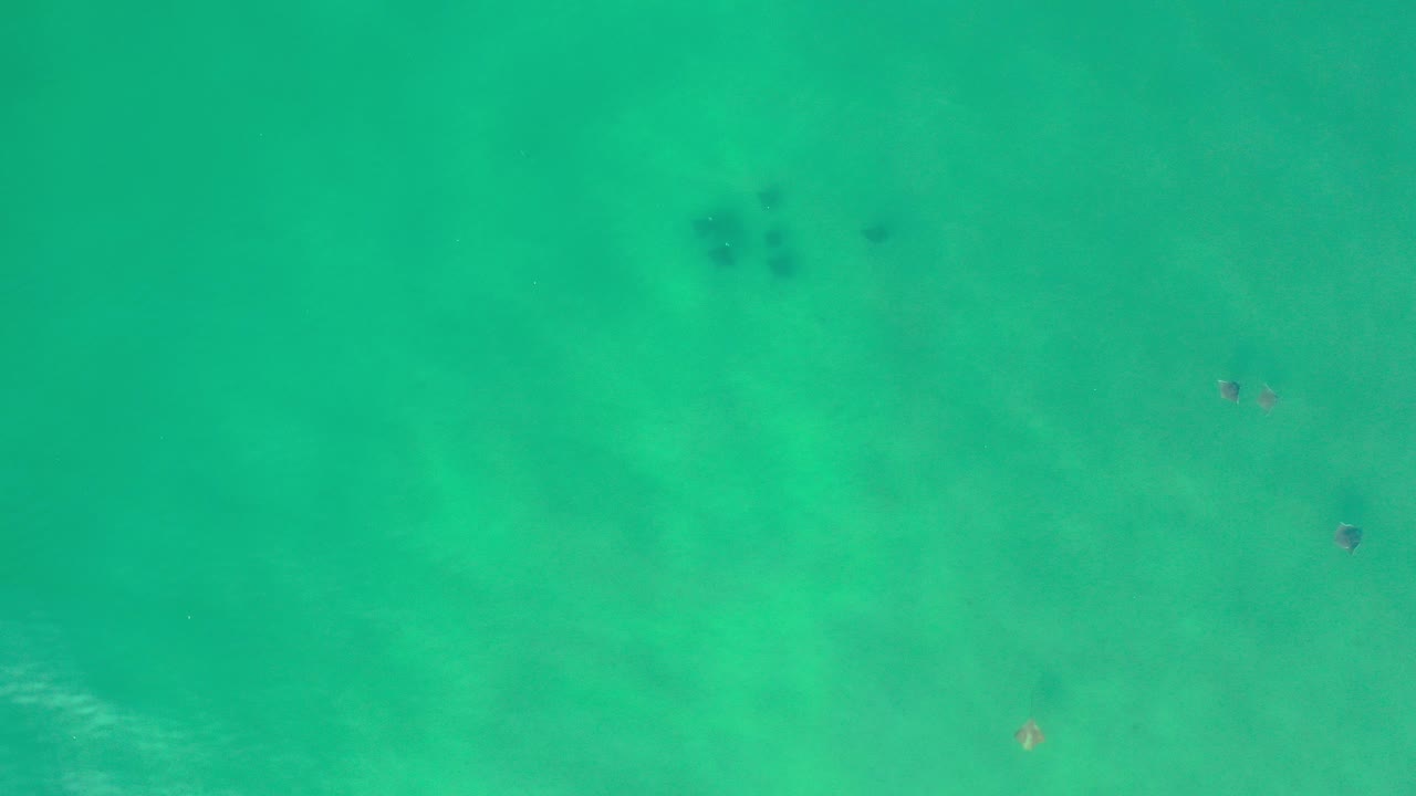 Top-down view of green-blue seawater in Los Cabos, Mexico, with faint sandy bottom, scattered small fish shapes near the upper area, and no visible people.