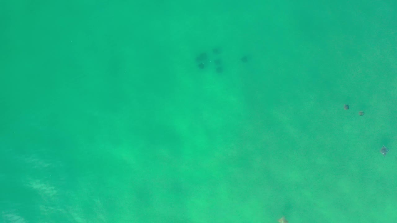 Turquoise ocean surface with faint fish and sand below.