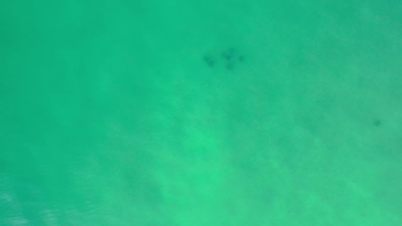 Straight-down aerial frame of Los Cabos water with several small dark specks near the upper area and no visible people.