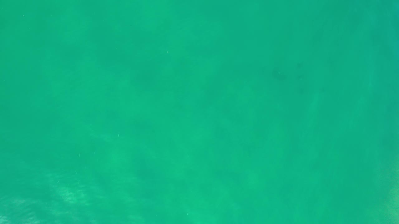 Aqua ocean water fills the Los Cabos frame, with pale sandy-looking areas below the surface and no visible people or structures.