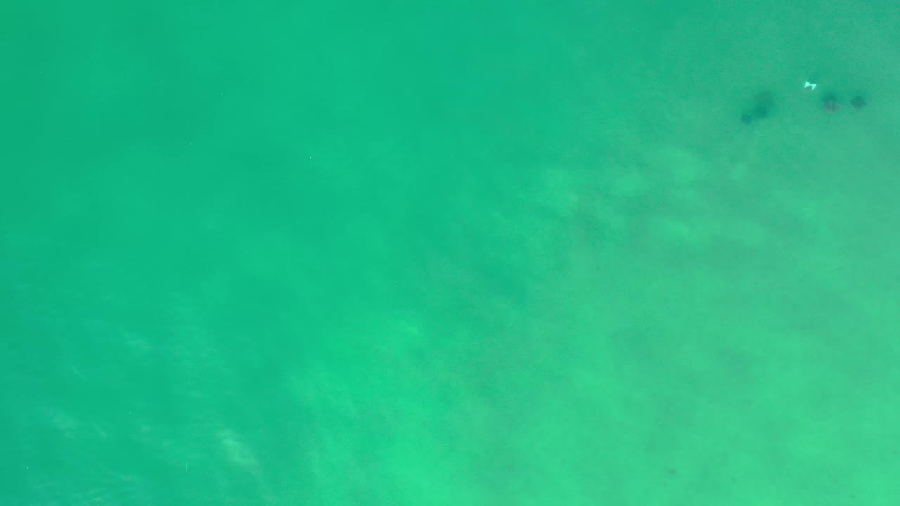 Top-down Los Cabos beach-water view showing clear green-blue shallows, subtle pale sand patterns, a few dark underwater patches near the upper edge, and no visible people.
