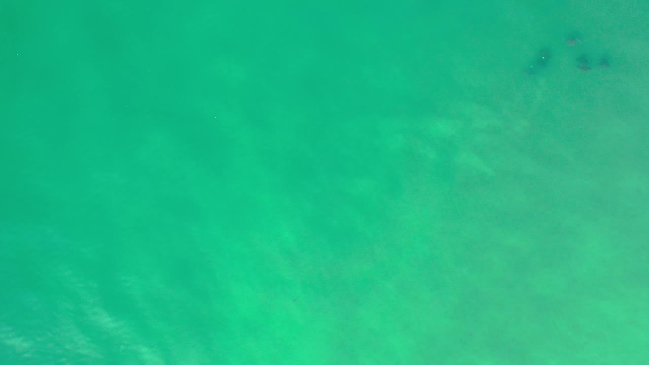 Turquoise ocean surface with cloudy sand patterns.