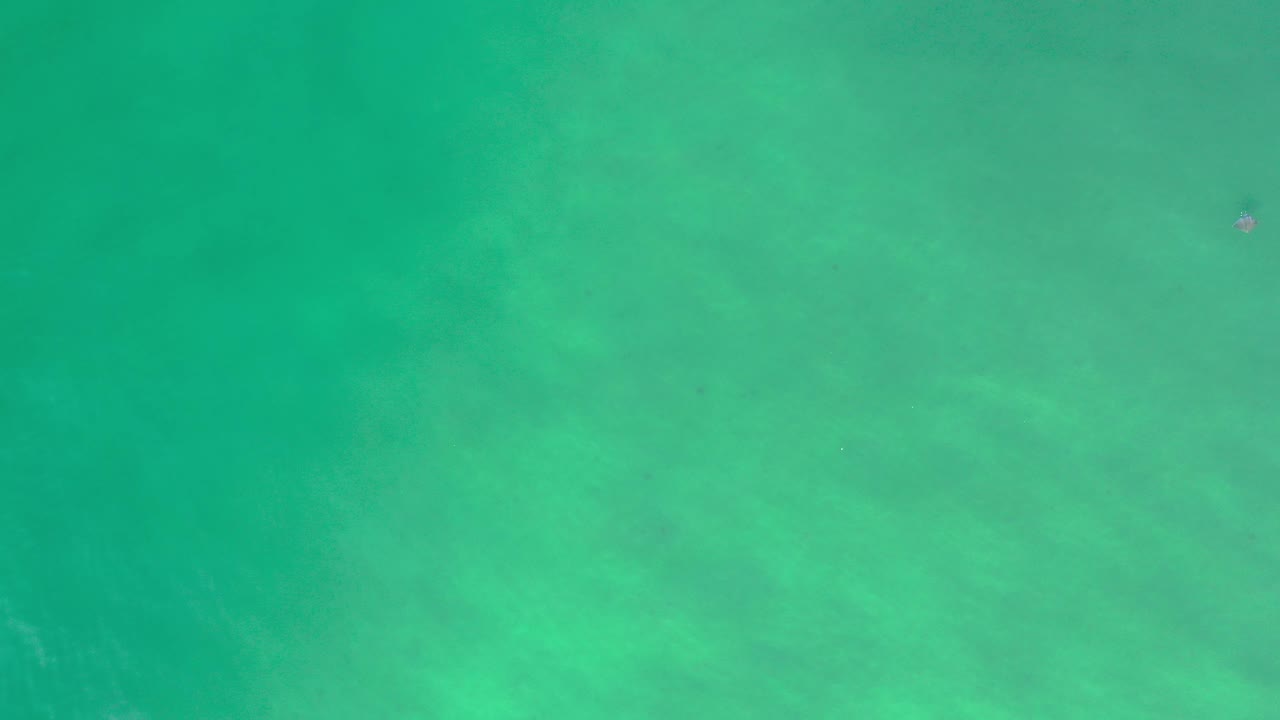 Overhead green ocean water with a tiny swimmer near the upper frame.