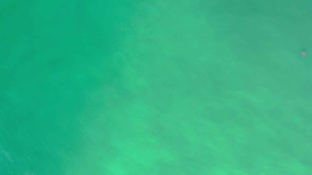 Aerial frame over Los Cabos green water with a tiny swimmer near the top edge and cloudy pale patterns under the surface.