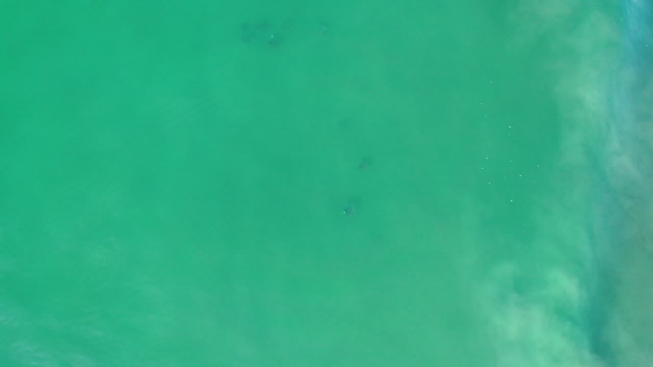Turquoise shallow water with pale cloudy sand patterns.