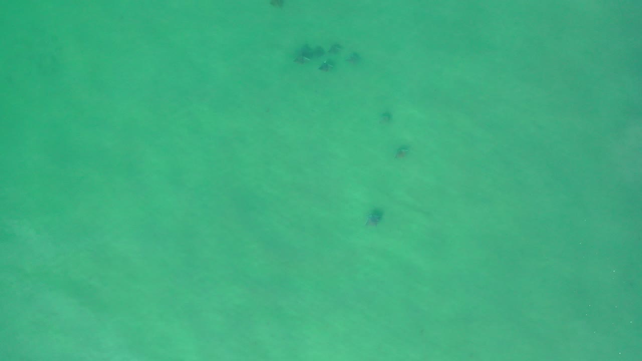 Overhead view of green ocean water in Los Cabos, Mexico, with faint darker areas beneath the surface and no visible people.
