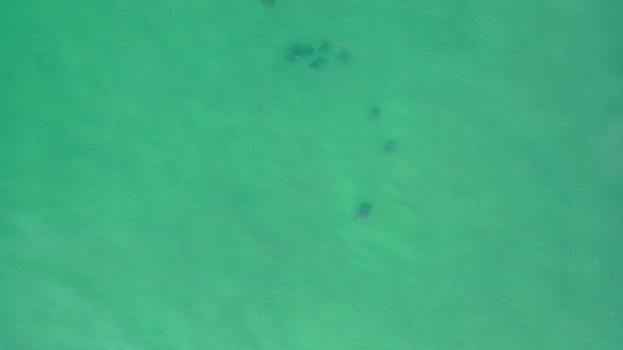Top-down Los Cabos ocean frame showing turquoise water with pale milky areas and small darker patches, with no visible people.