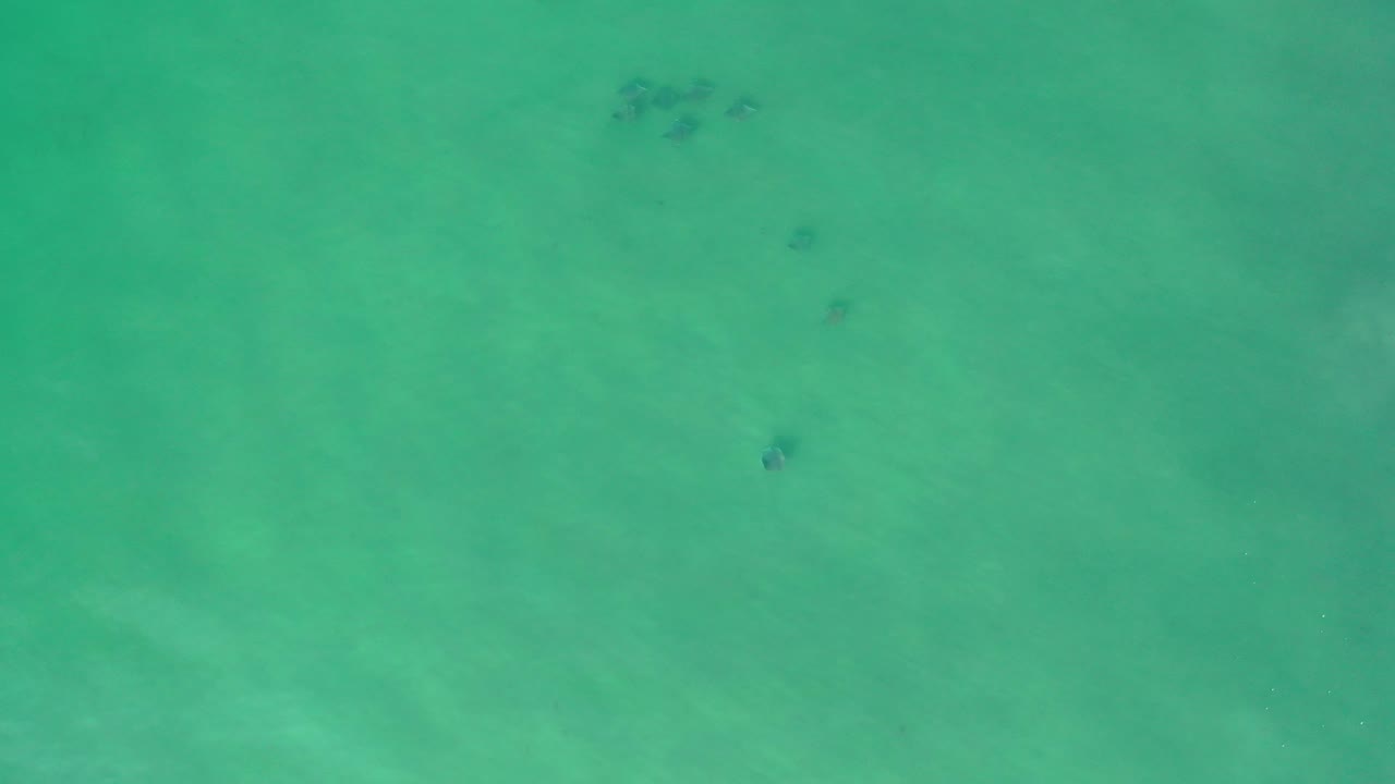 Green ocean water with a few small dark underwater marks.