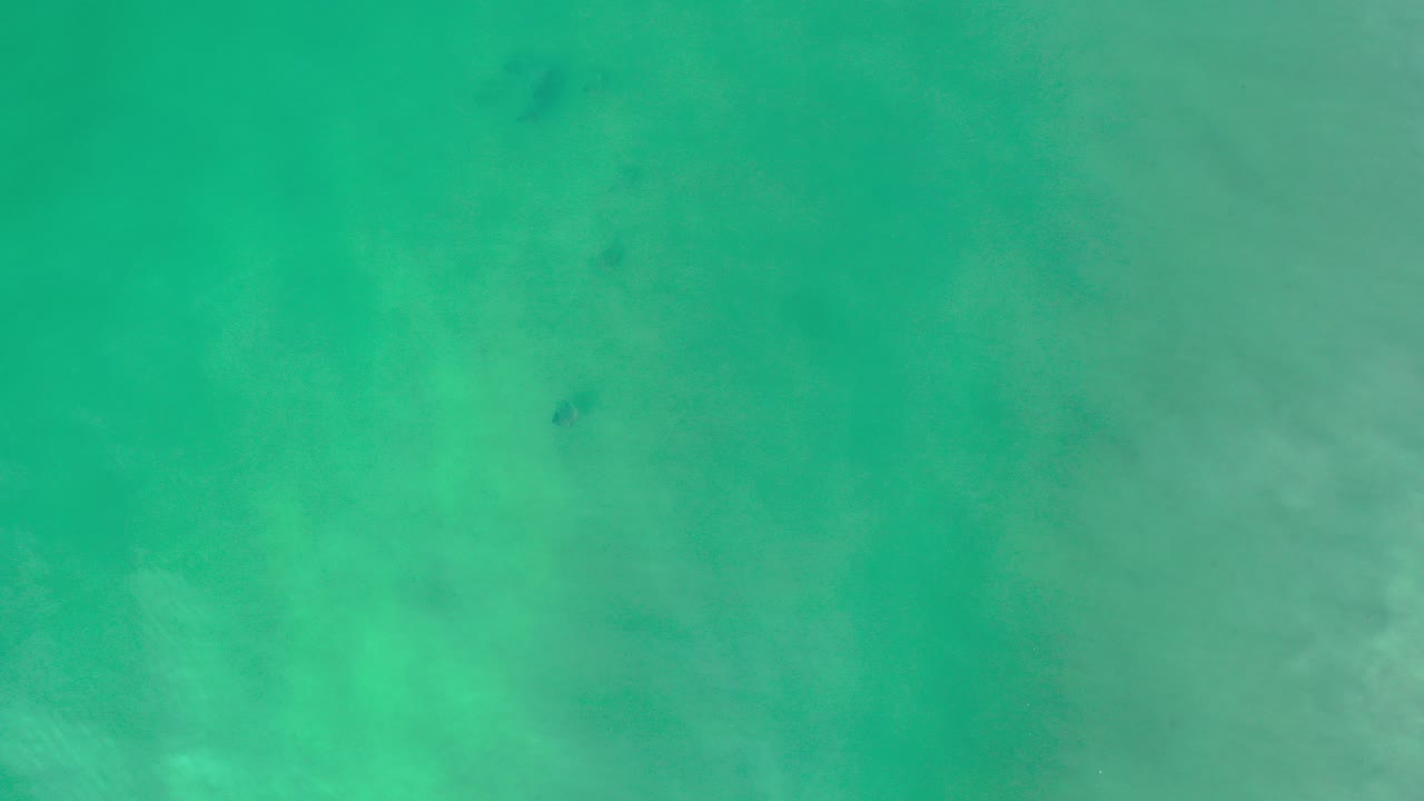 Green underwater ocean in Los Cabos, Mexico with soft pale bottom texture and no visible people at the opening frame.