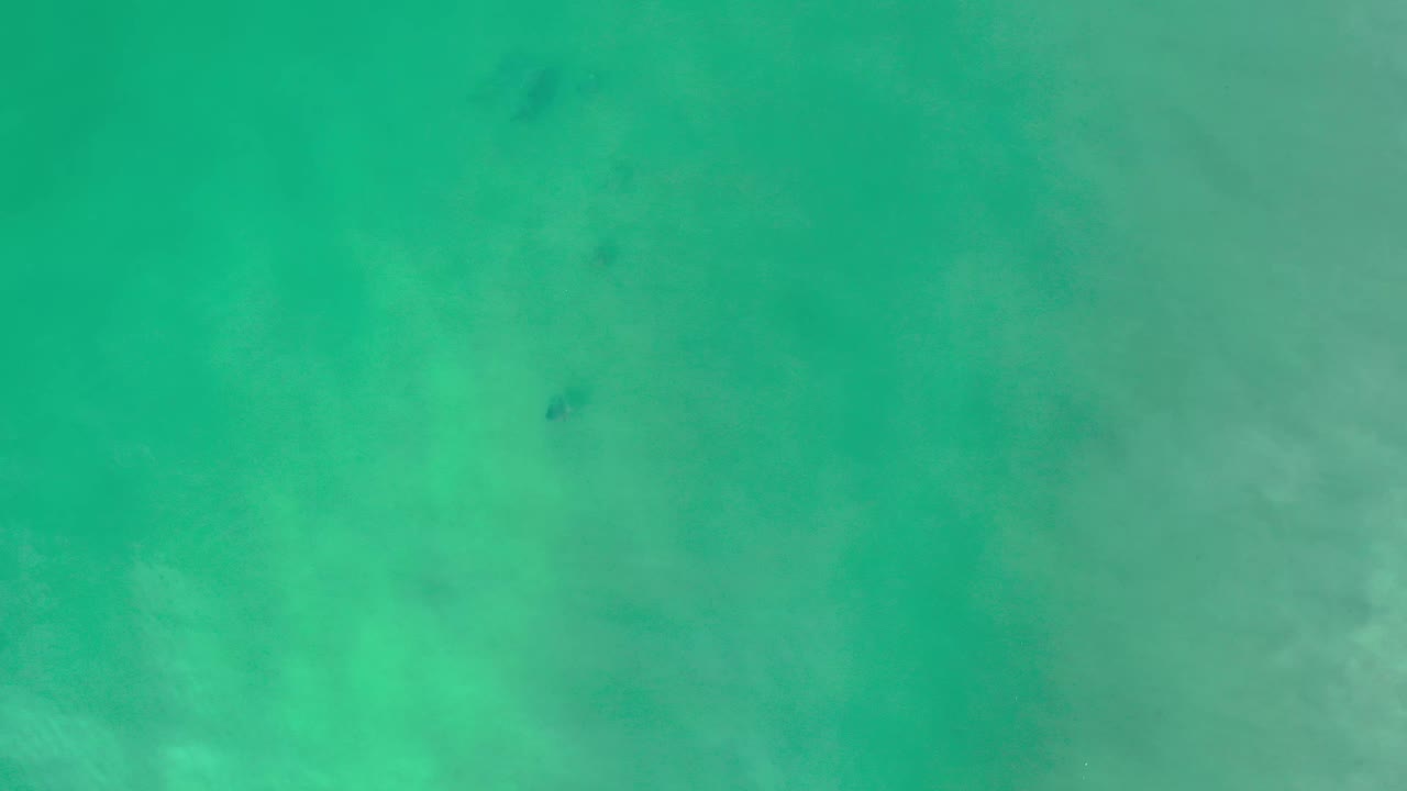 Green water over a cloudy underwater bottom in Los Cabos, Mexico, with a small dark patch near the upper center and no visible people.