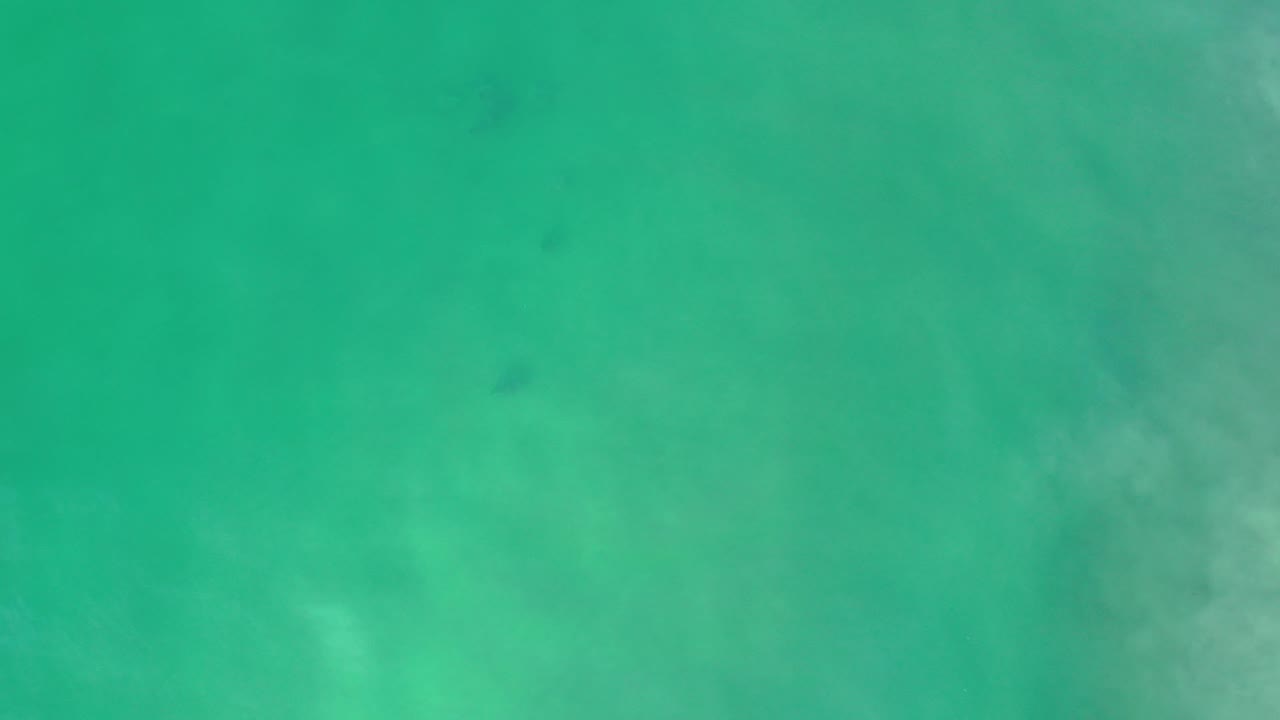 Turquoise green underwater view with pale patches