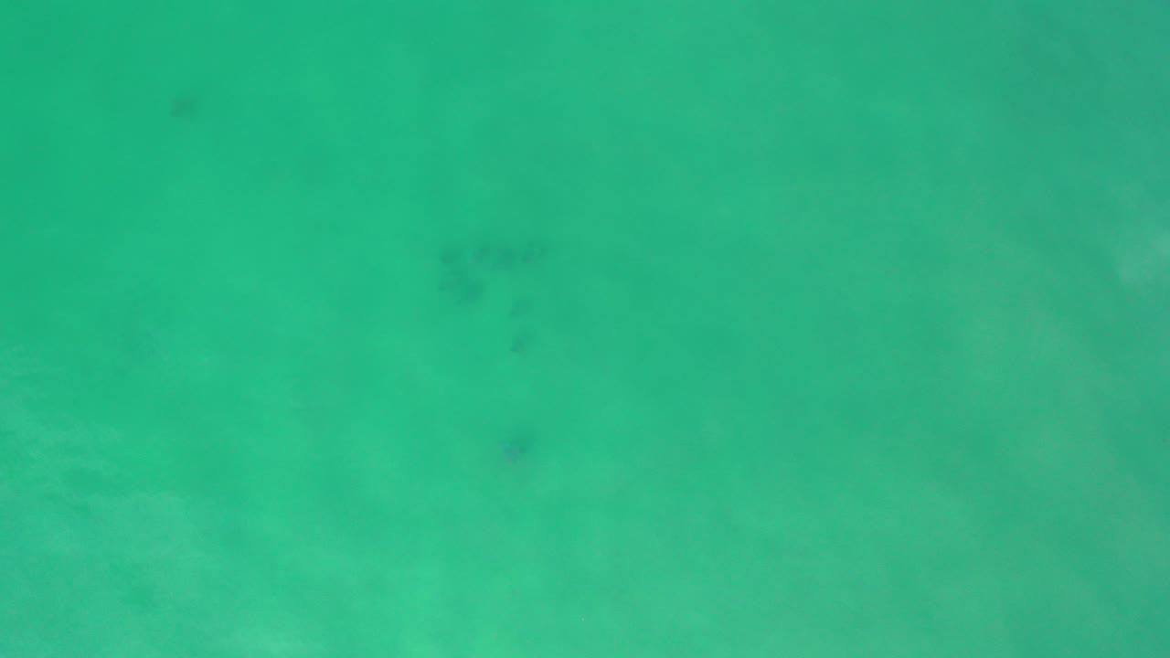 Aquamarine underwater frame from Los Cabos with soft green light, faint dark fish-like shapes beneath the surface, and no visible people.
