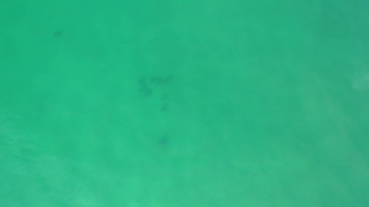 Clear green underwater view in Los Cabos with scattered darker fish-like marks across the frame and no visible people or shoreline.