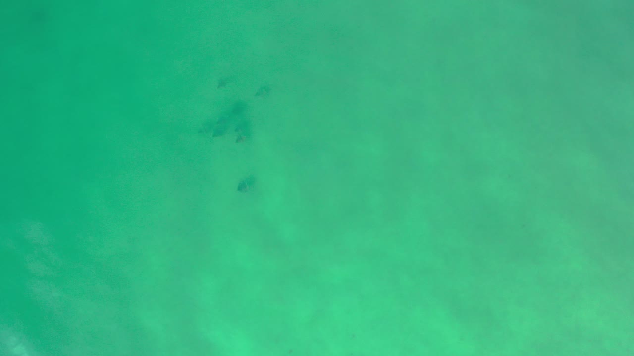 Turquoise ocean water seen from directly overhead