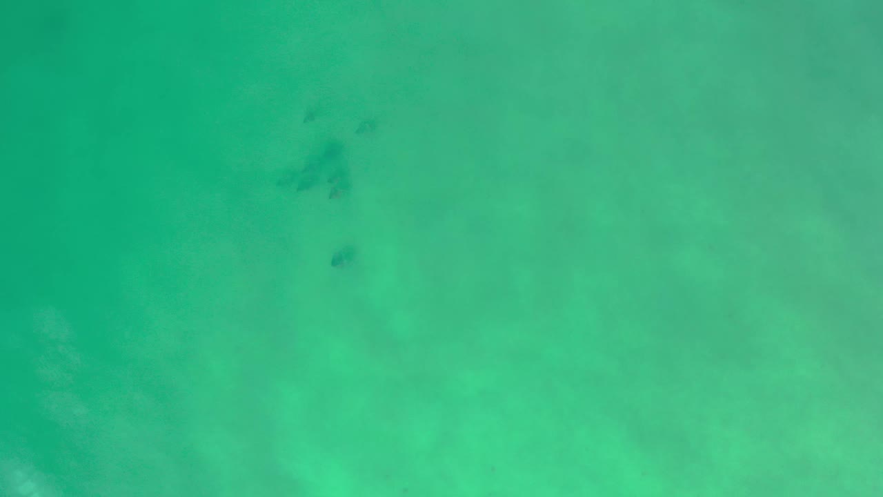 Overhead Los Cabos ocean frame with blue-green water, faint darker submerged areas near the upper left, and no visible people.
