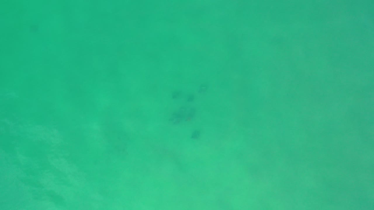 A Los Cabos, Mexico frame of greenish blue liquid or shallow water filling the view, with faint darker patches below the surface and no visible people.