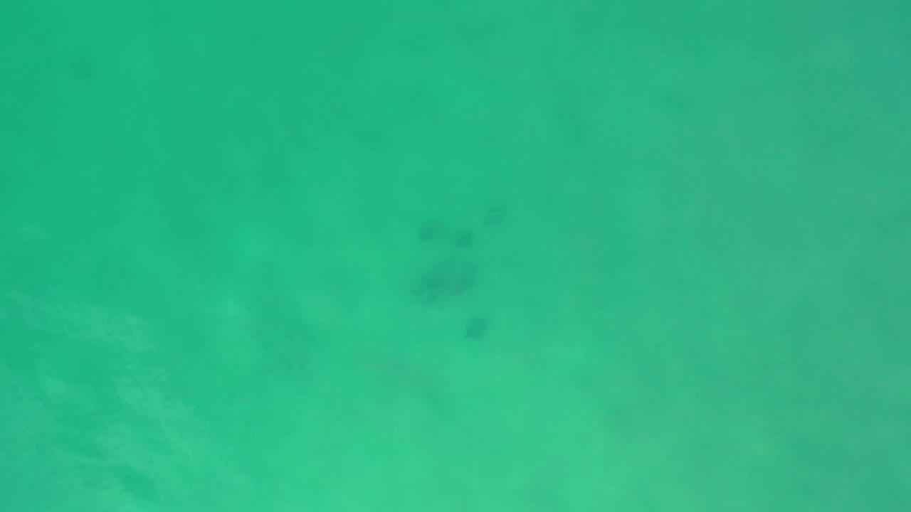A turquoise-green surface fills the Los Cabos frame, with subtle cloudy variation and no visible people or hard-edged objects.