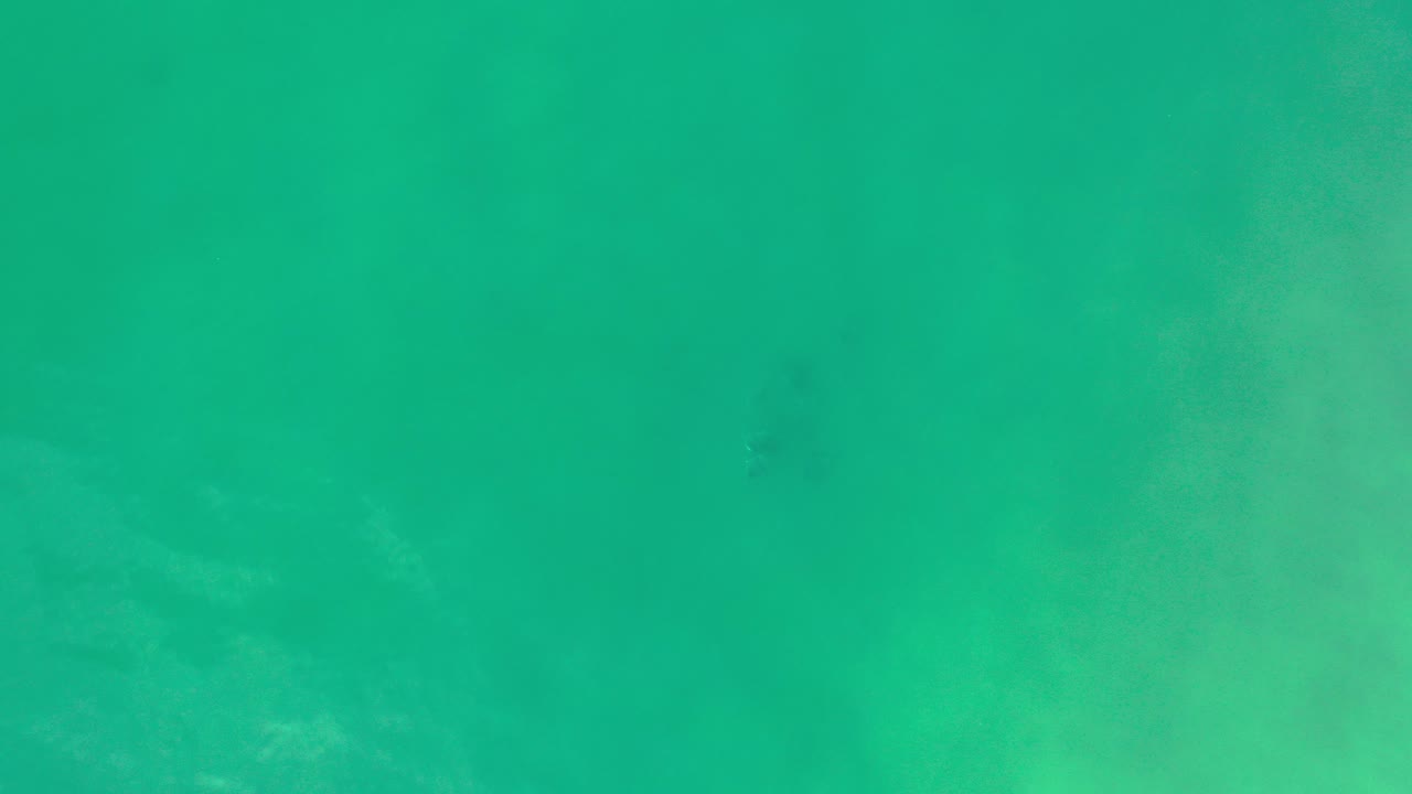 Overhead view of green ocean water in Los Cabos, Mexico, with a faint dark underwater shape near the left side and no visible people.