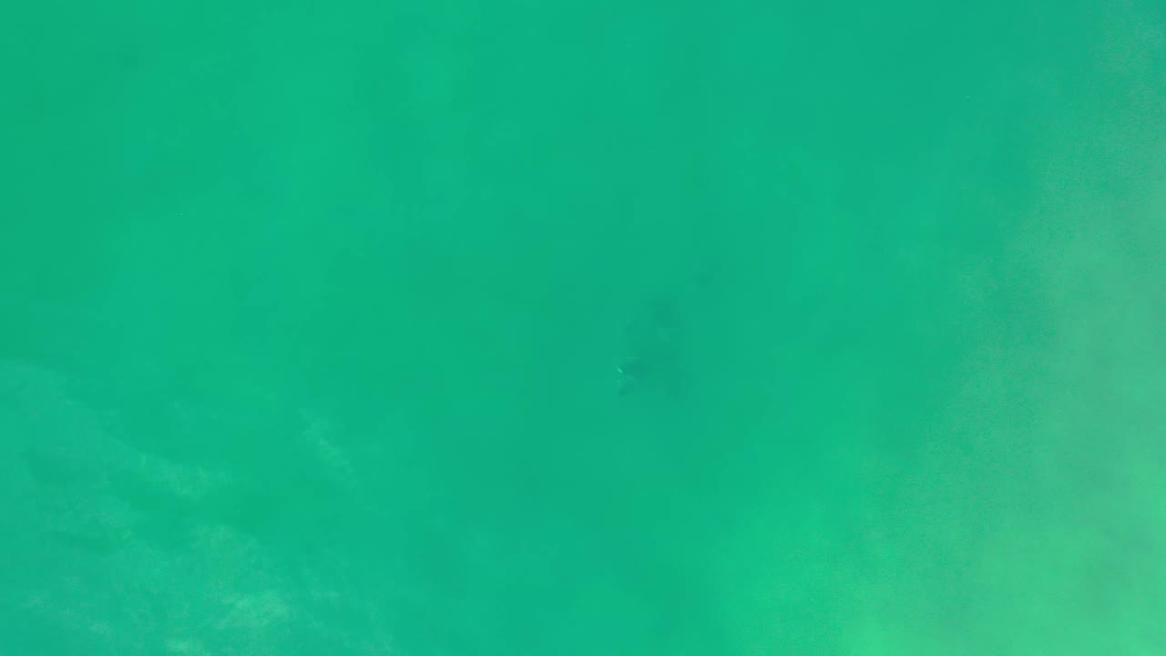 Overhead green water in Los Cabos, Mexico, with a small blurry submerged object sitting low in the frame and no visible people.