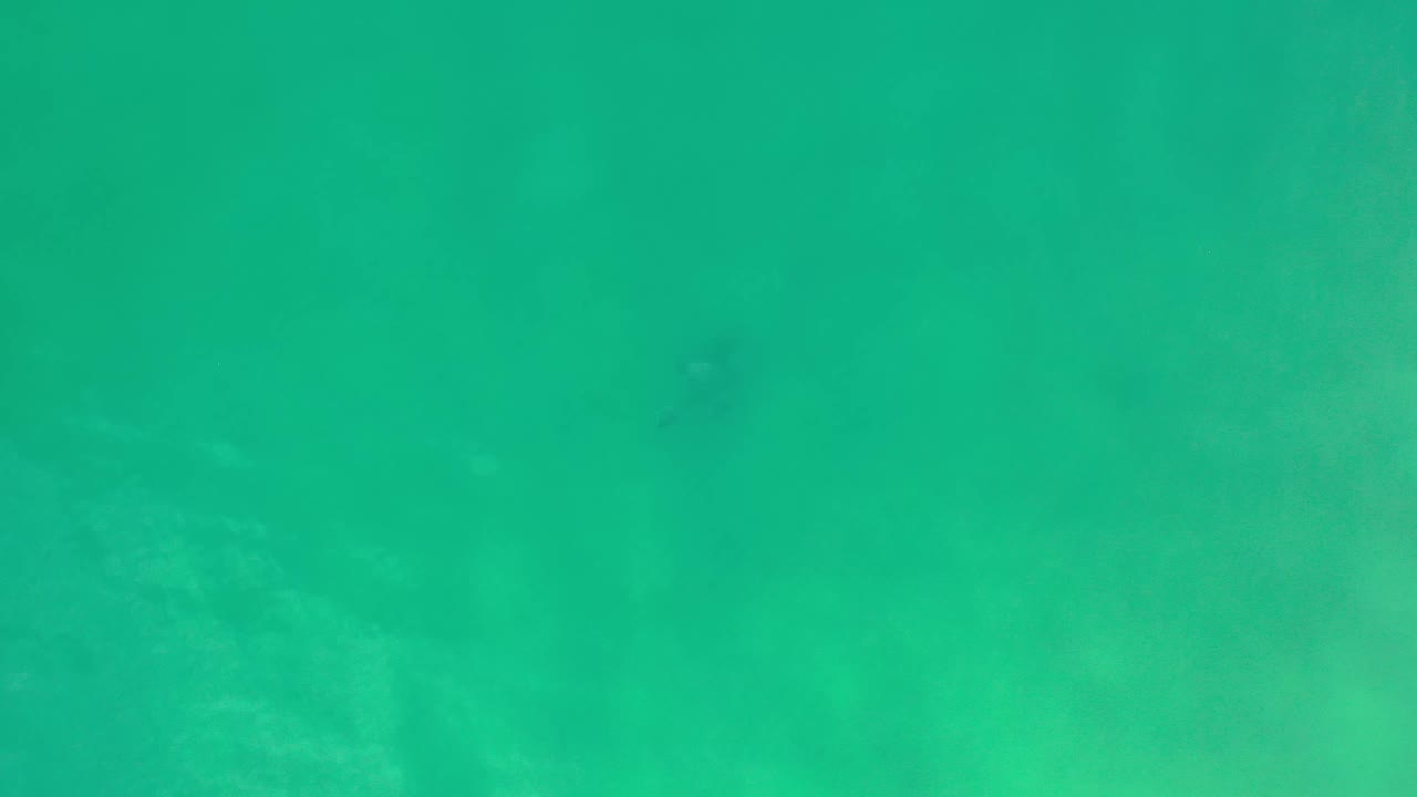 Los Cabos underwater frame with soft green water, subtle bottom patterns, tiny fish lower in frame, and no visible people.