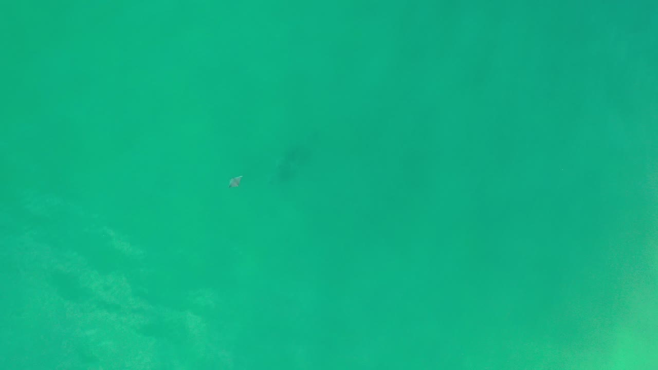 Overhead view of turquoise shallow sea water in Los Cabos, Mexico, with pale underwater texture and a tiny person near the upper-left area of the frame.