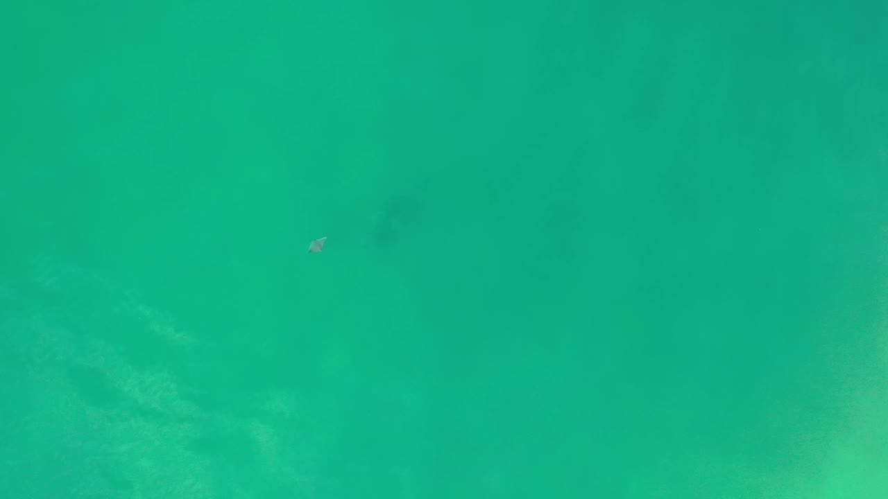 A high overhead frame in Los Cabos, Mexico, shows green-blue shallow water, cloudy underwater patches, and a small person near the middle of the composition.