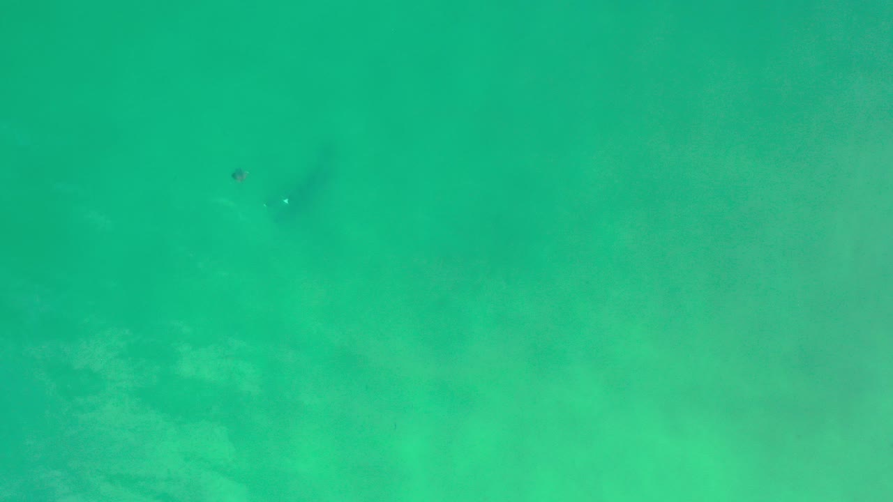 Aquamarine water with faint dark forms below the surface.