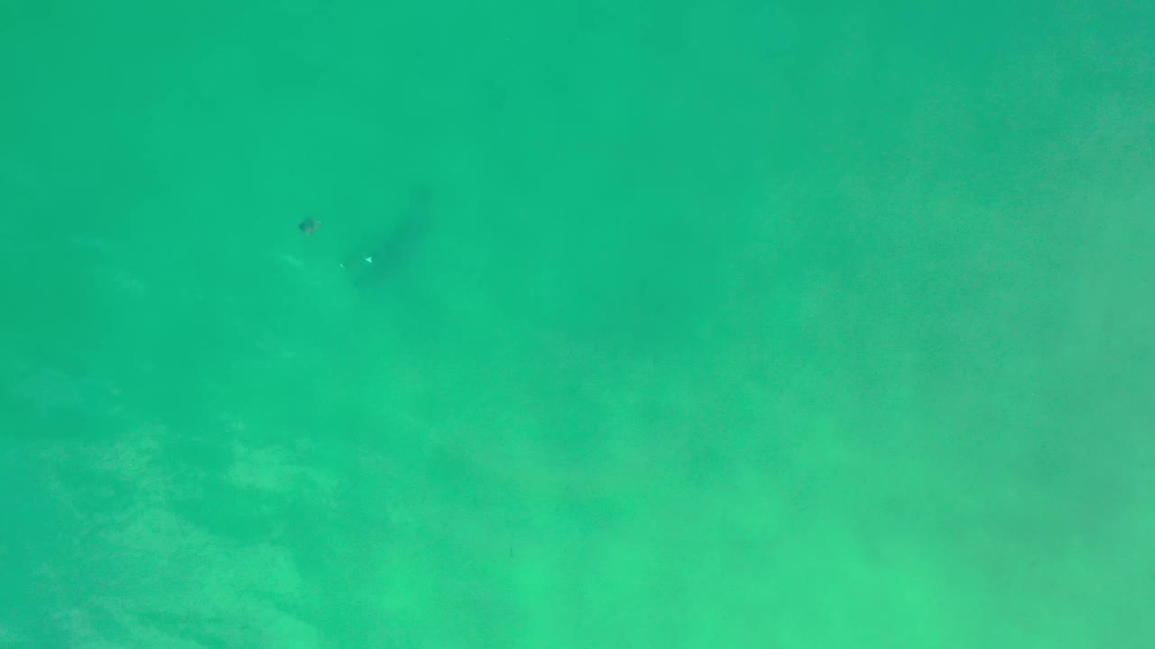 Green-blue Los Cabos water with cloudy patches, gentle rippling, and small dark marks beneath the surface, no visible people.