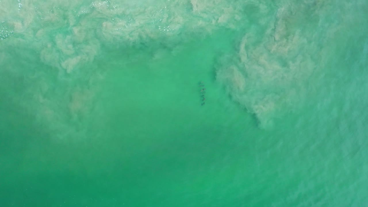 Overhead view of turquoise green ocean water in Los Cabos, Mexico, with pale froth near the upper frame and no visible people.