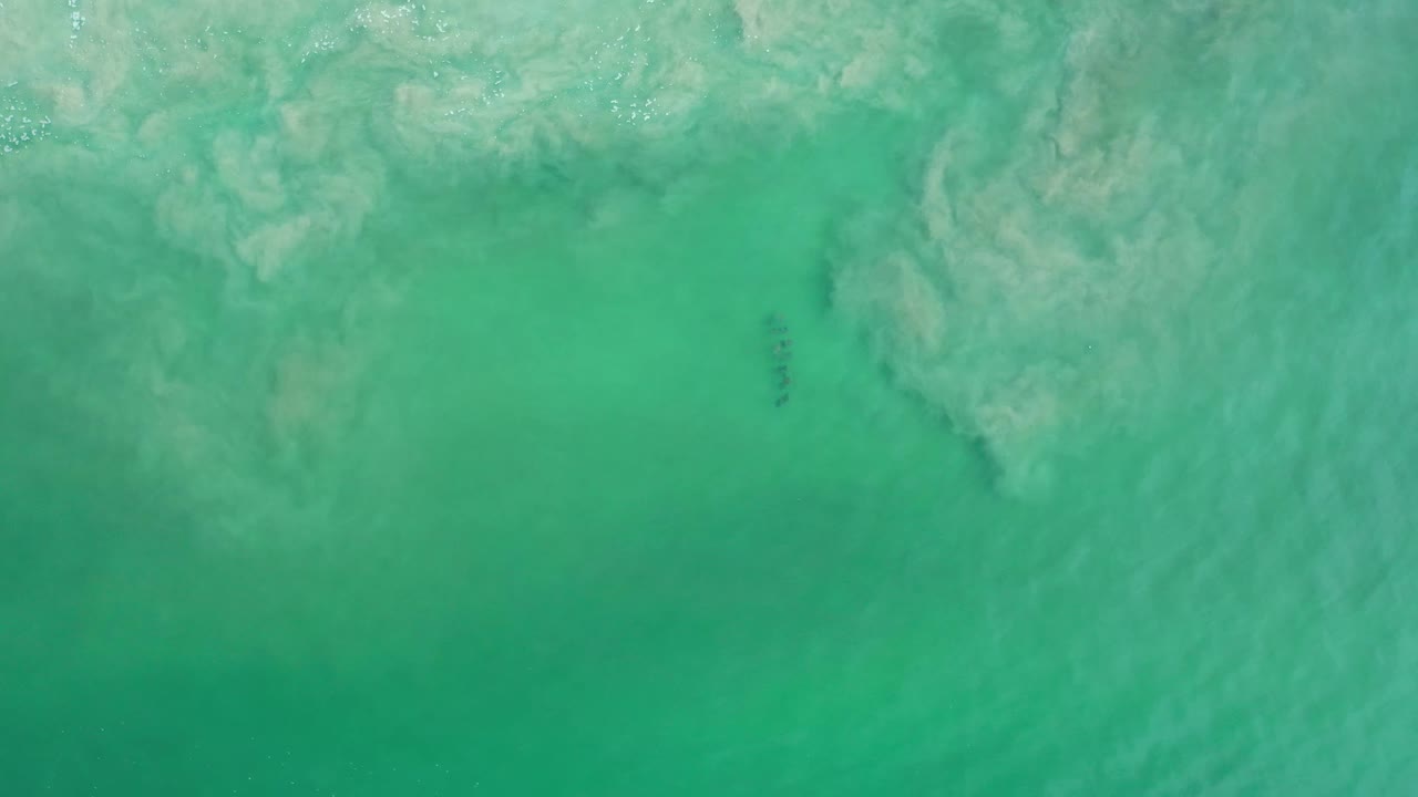 Overhead Los Cabos ocean frame with cloudy white foam spread across the top portion and deeper green water below, with no visible people.
