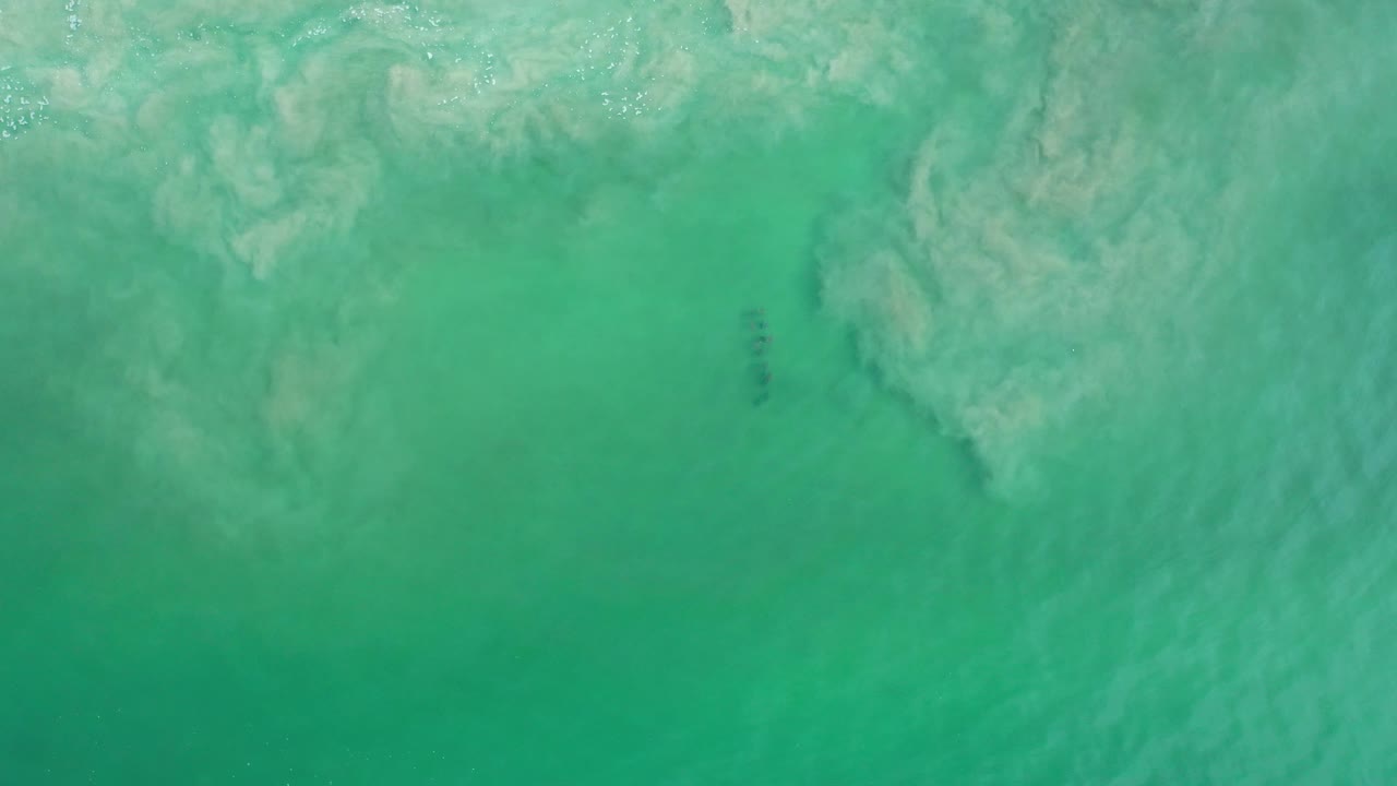 White froth drifting over calm green sea water.
